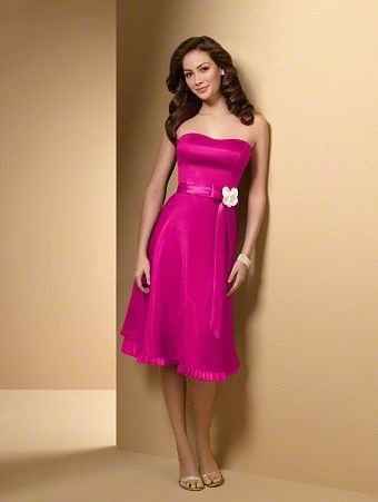 Dog down the aisle. what are your thoughts? UPDATE!!