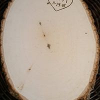 what are you doing for a guestbook?  Traditional or something a little different?