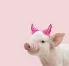 Calling all Google Queens or anyone that can draw