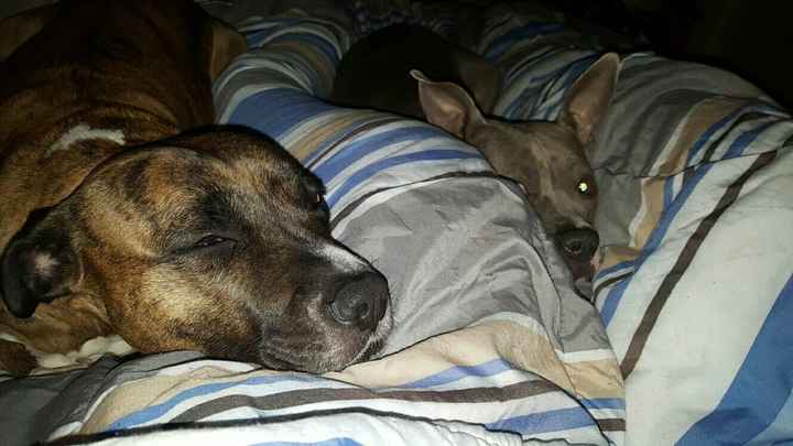 Whose helping you WW!?!