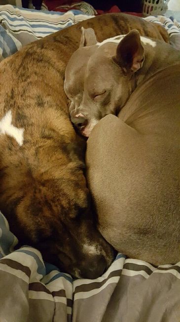 I LOVE my fur baby!