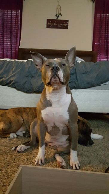 NWR: post pics of your pets!!
