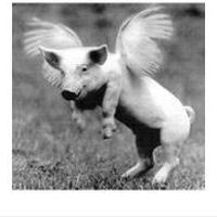 Calling all Google Queens or anyone that can draw