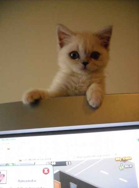 Let's get to know each other!