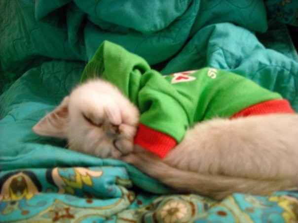 Let's get to know each other!