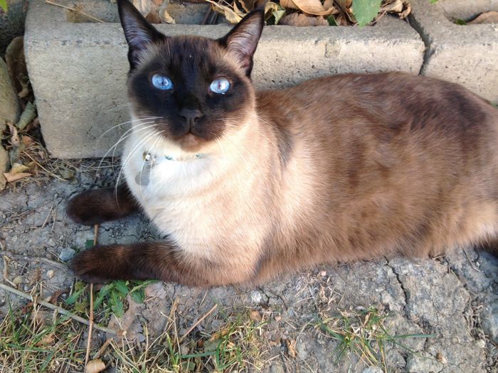 NWR - Furbaby Friday
