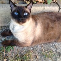 NWR - Furbaby Friday