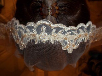 I got my veil today!  Its different...whatcha think?