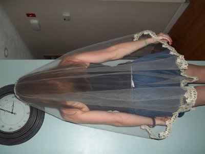 I got my veil today!  Its different...whatcha think?