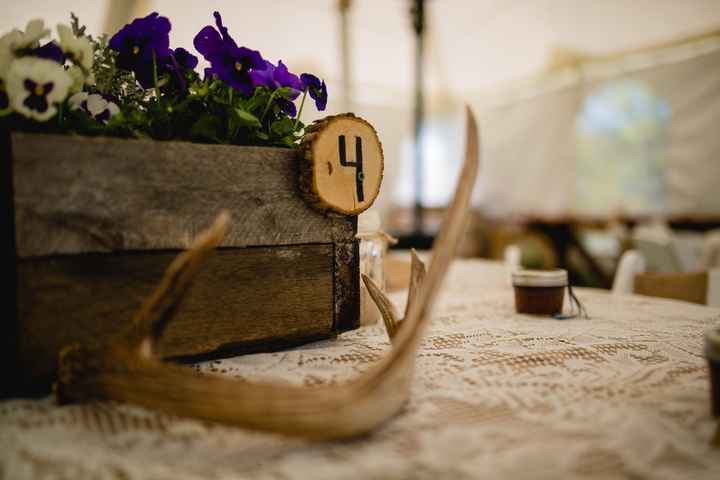 Pro BAM!!!  (pic heavy sorry it's hard to narrow down)