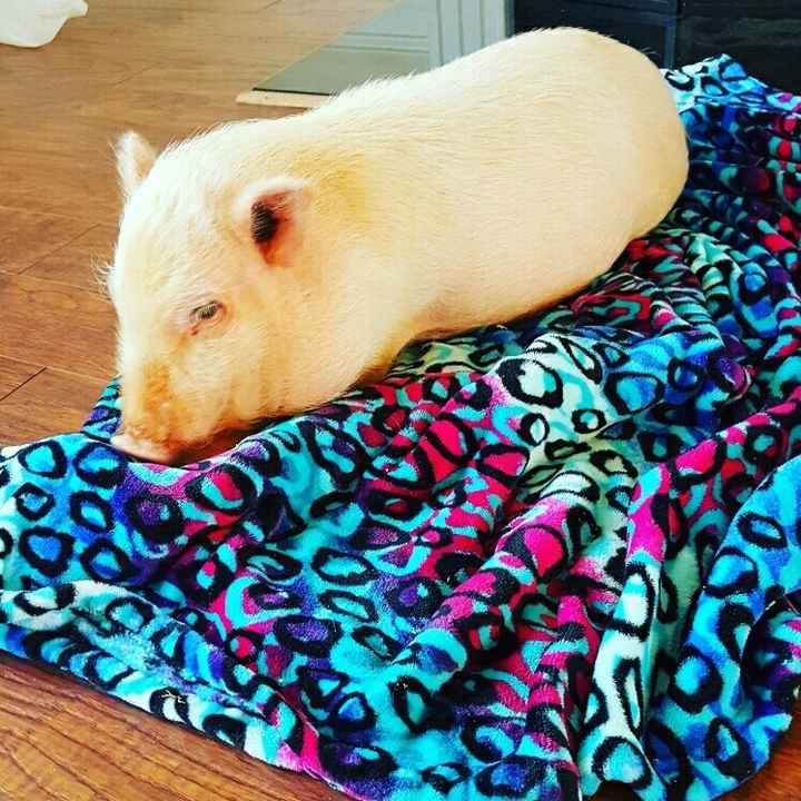 NWR Fursday Thursday!