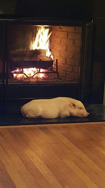 I LOVE my fur baby!