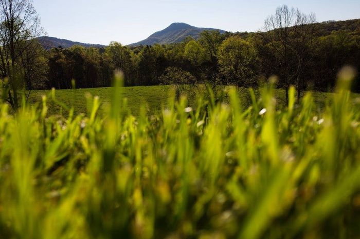 "Scenic" Backdrop at Ceremony Space