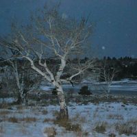 Travel Photos - Share Yours!