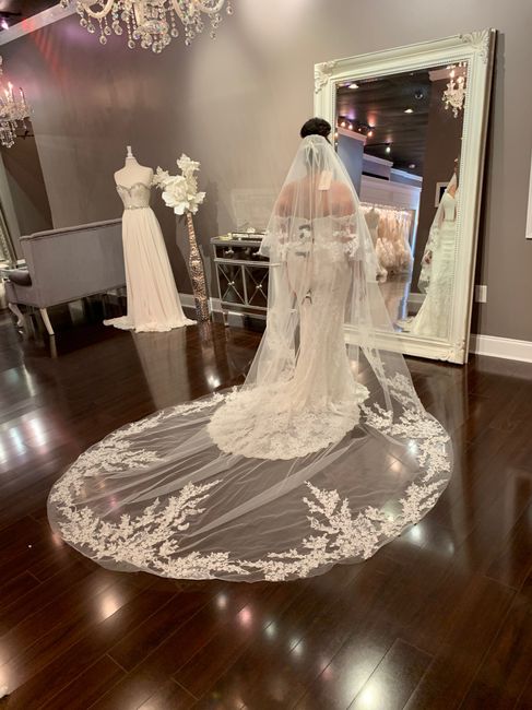 Affordable customized Veil - 1
