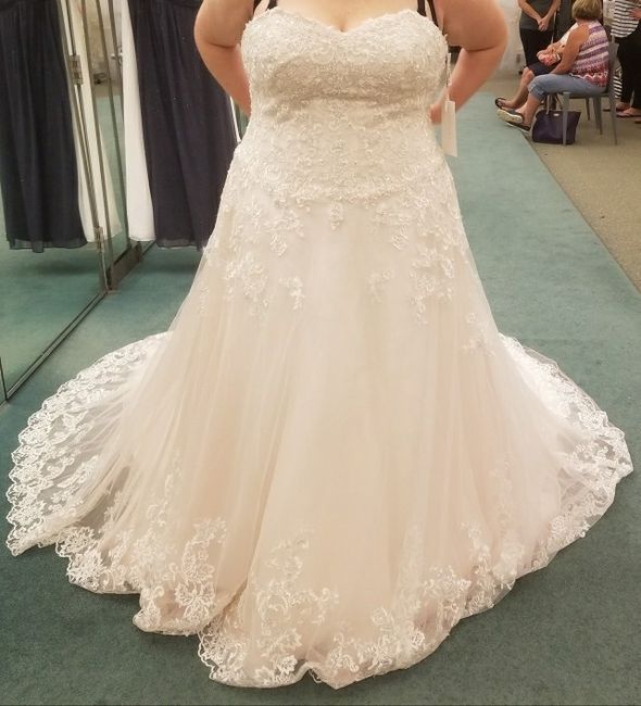 Size 22 & 24 brides!