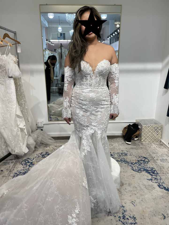 Anyone wear an Enzoani dress or a mermaid dress to the reception