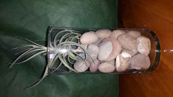 Centerpieces! Opinions/suggestions please (pics)