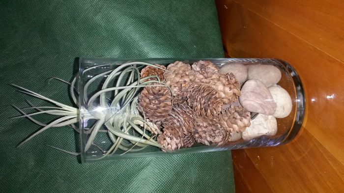 Centerpieces! Opinions/suggestions please (pics)