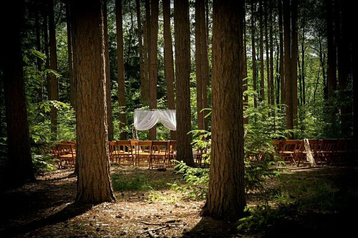WOODLAND PRO BAM! Pic heavy!