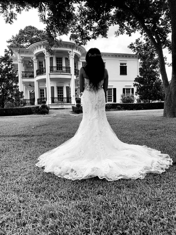 Bridal Portraits - 8