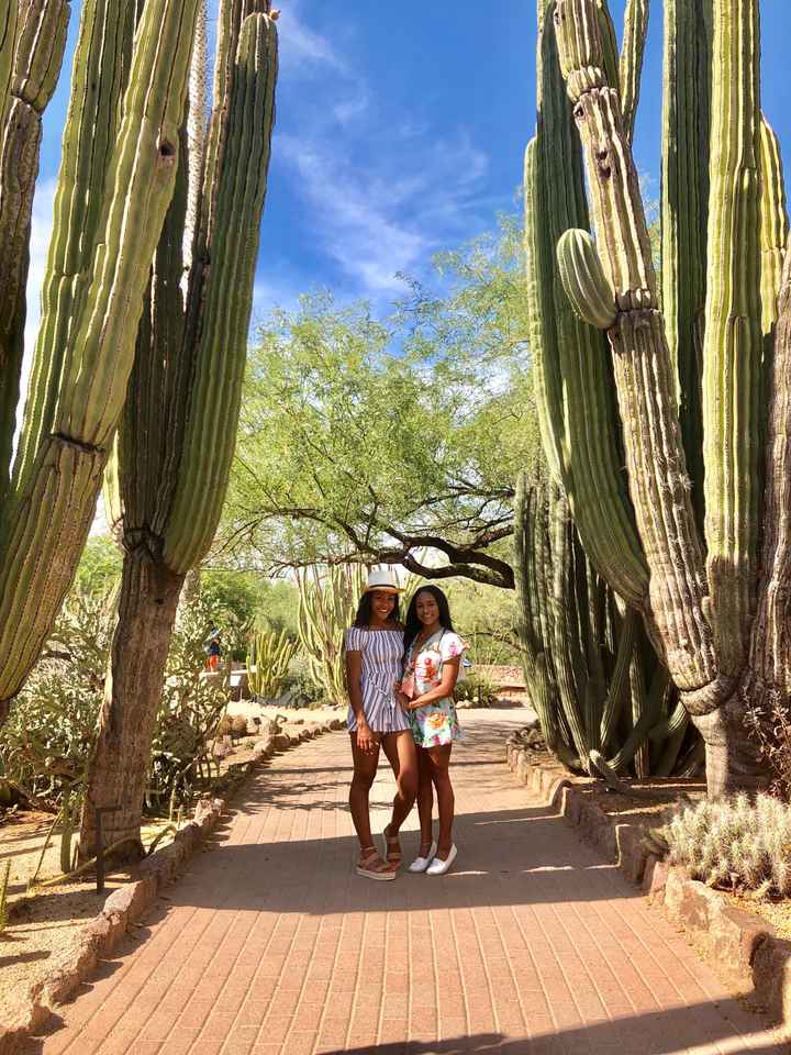 Bachelorette Party in Scottsdale 🌵 - 8