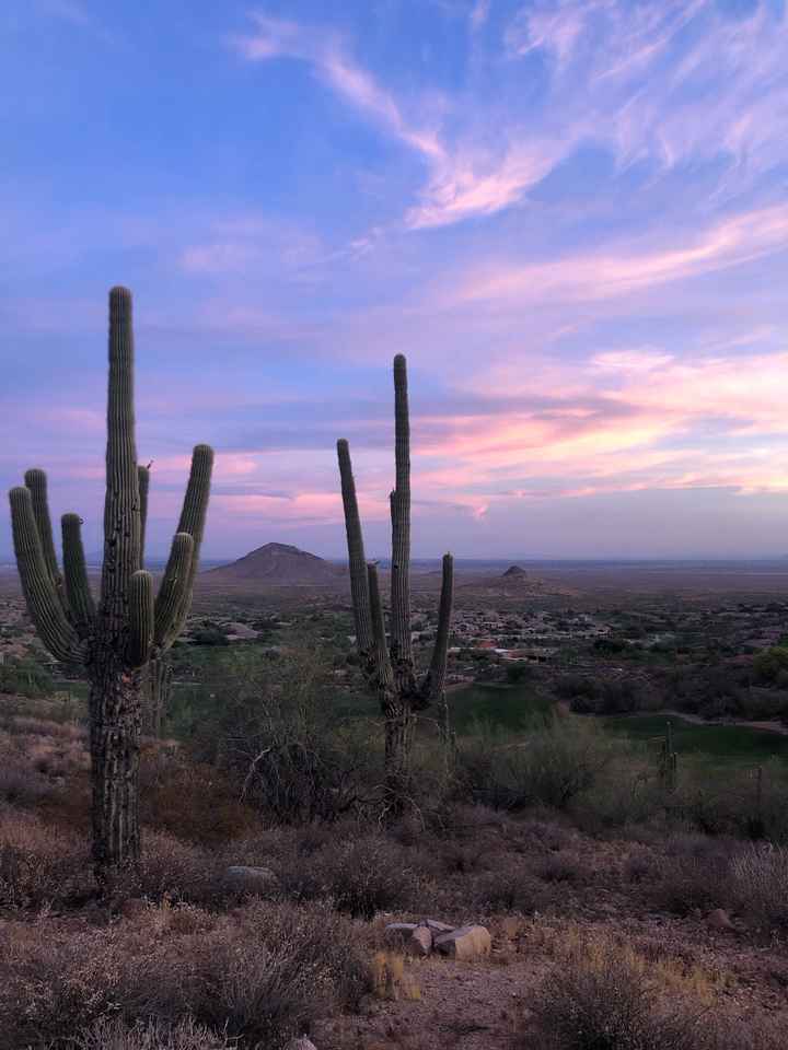 Bachelorette Party in Scottsdale 🌵 - 11