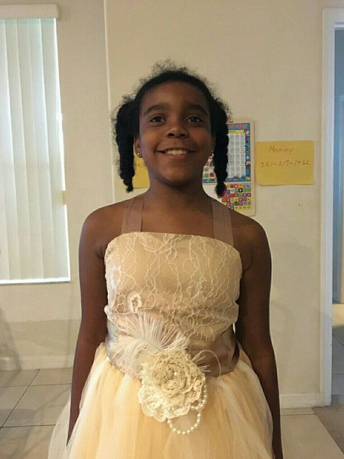 Where to find Flower Girl dresses?