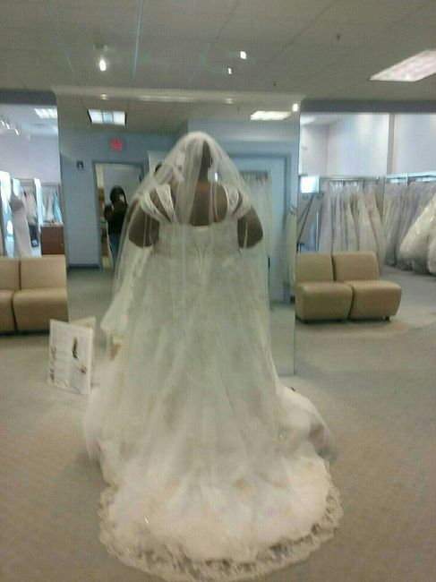 Let me see your veil