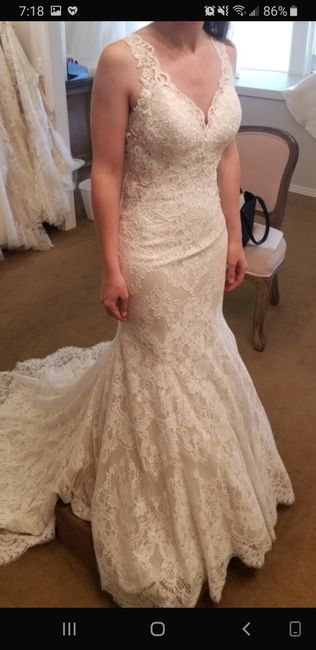 Veil Advice Please? :) - 1