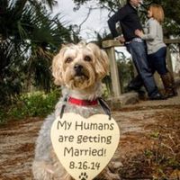 Including the fur baby...