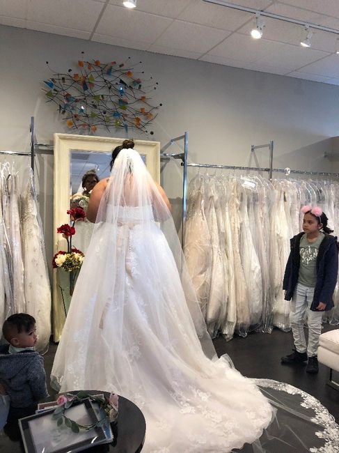 now with belts and veil