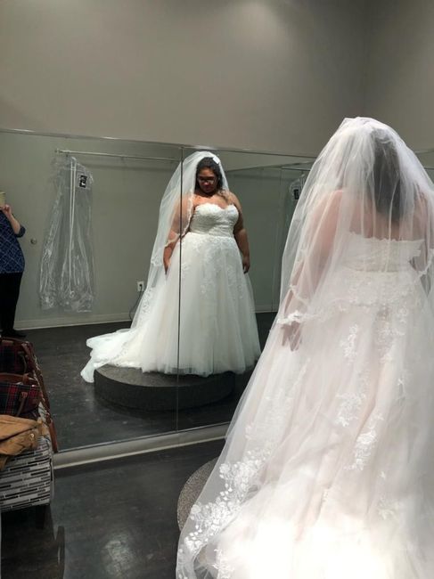 with two piece veil including blusher