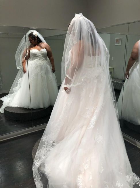 cathedral veil and blusher