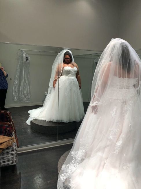Is your wedding dress the style you originally imagined yourself in? - 1