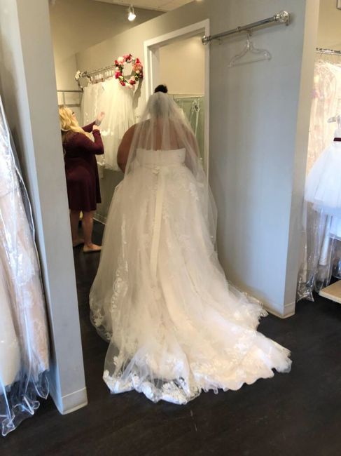 Does Your Dress Have a Train? 7