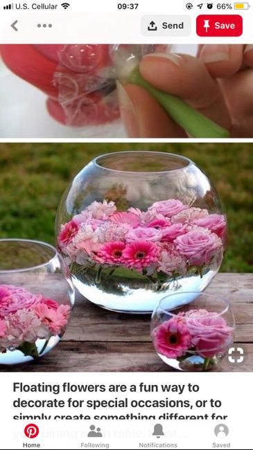 Center pieces ??? - 1
