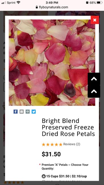 Flowers - artificial and real petals? 2