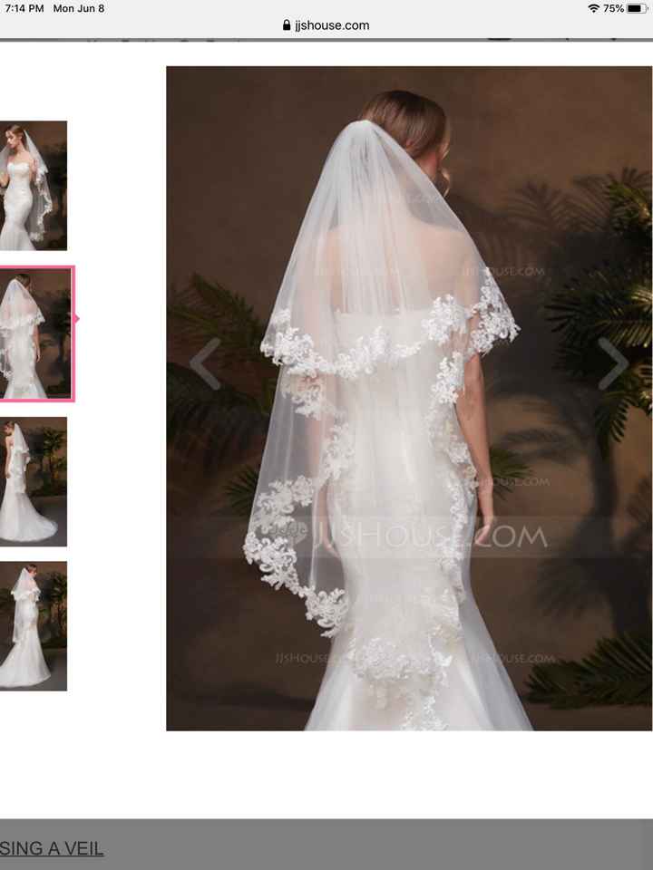 What type of veil should i do? - 3