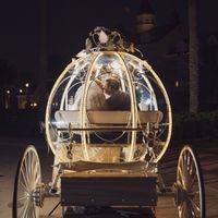 November Brides! - 4