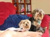 Let's see your pets!