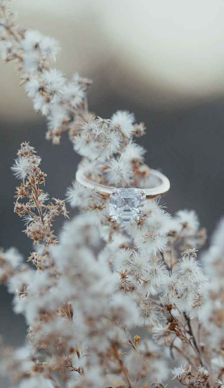  Show me your rings! - 1