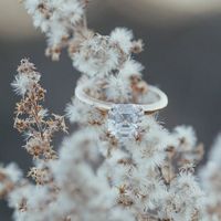  Show me your rings! - 1