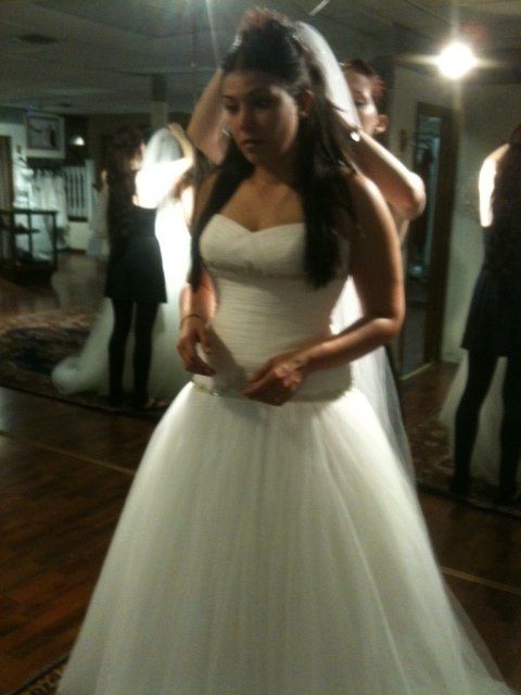 My Wedding Dress.. opinions please!!! :)