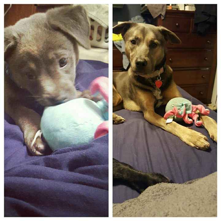 NWR: How could you even consider it?