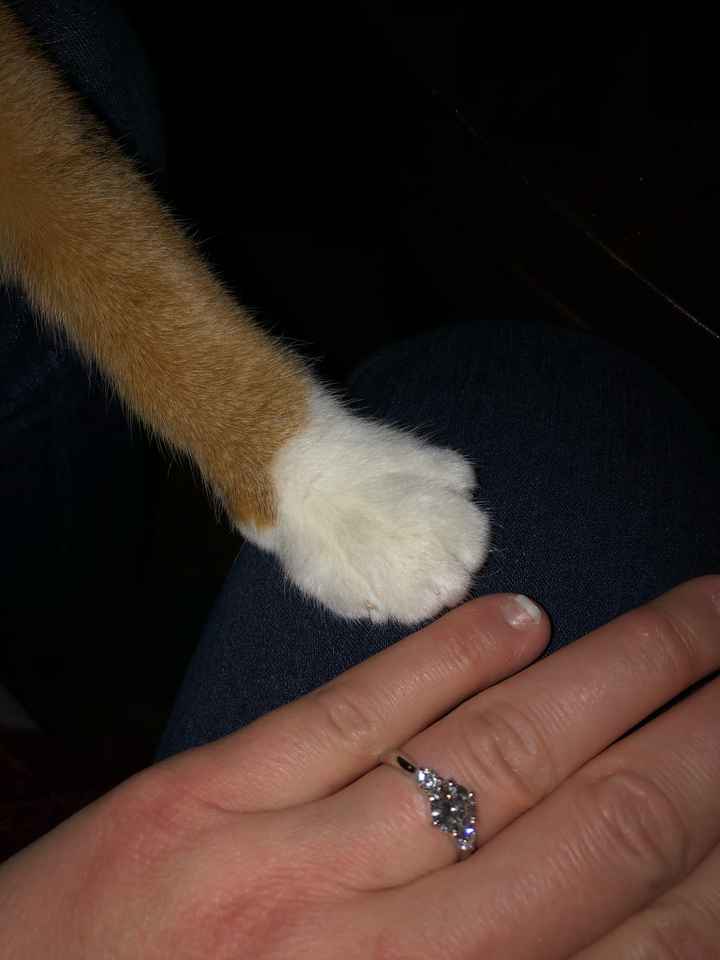 Brides of 2020!  Show us your ring! - 1