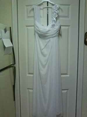 Plus size brides you're help is needed