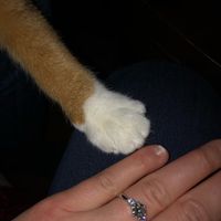 Brides of 2020!  Show us your ring! - 1