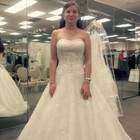 I can't tell my colors apart