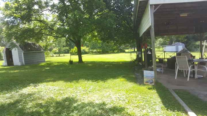 Ideas for a Hallowedding - 1